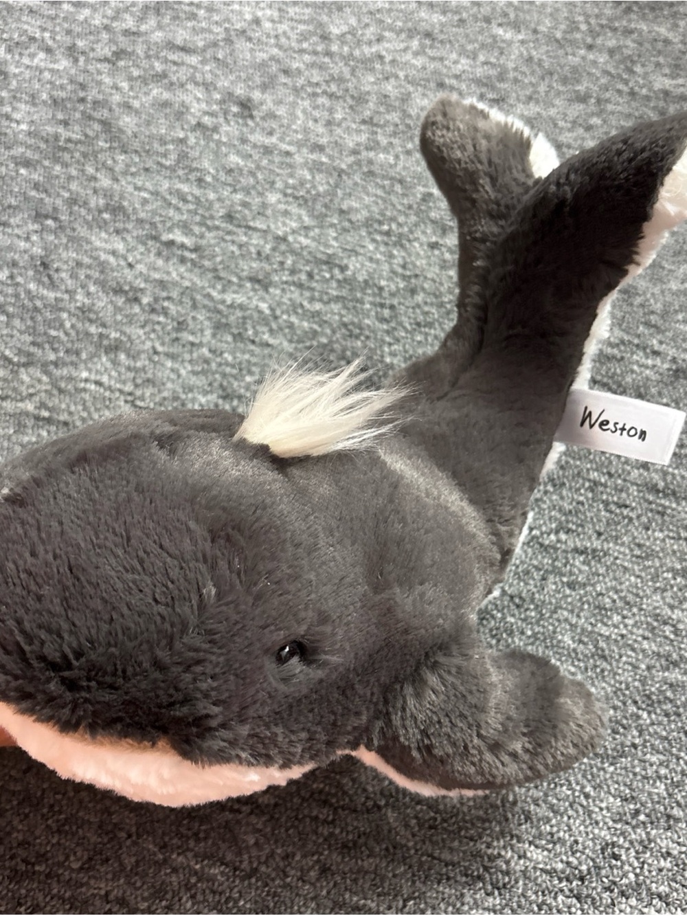 Weston Aurora Whale Plush Stuffed Animal 10" Rare Softest Plushes